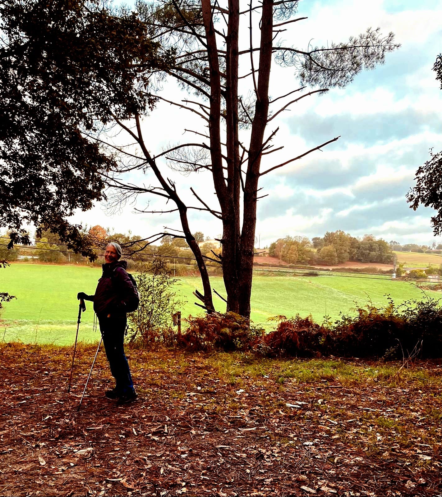 Camino Day 7:  Arzua to O Pedrouza